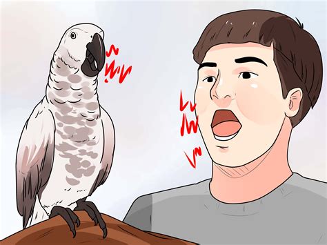 Sounds like a slam dunk to me, but i'm unfortunately ignorant of crawdad habits. 3 Ways to Train Parrots to Make Less Noise - wikiHow