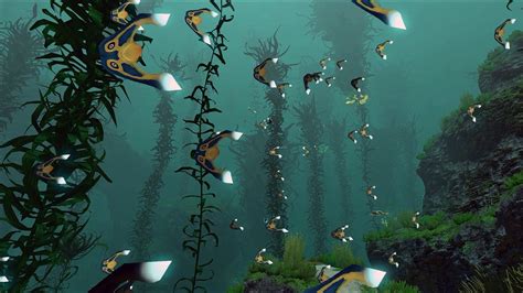 Subnautica Kelp Forest Ambience Underwatercreature Soundswhite Noise