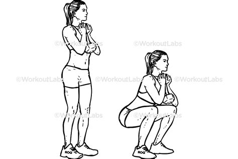Goblet Squats Workoutlabs Exercise Guide