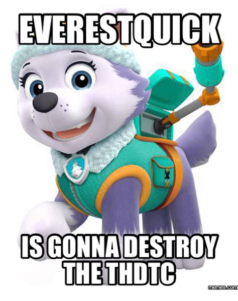Funny Paw Patrol Memes And Pics 1 Highest Ranking See If You