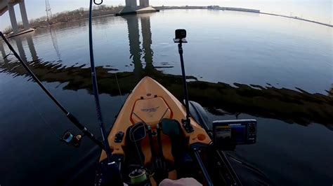 All Day Kayak Fishing For Striped Bass Youtube
