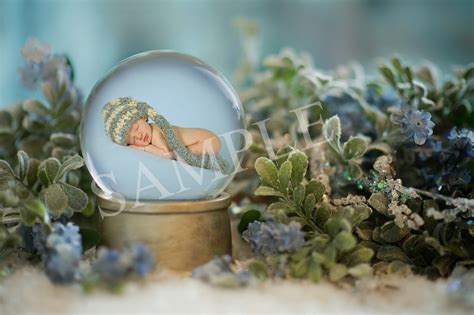 Mandy Hartman Photography Snow Globe Photos