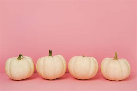 Pink Pumpkins Stock Photos Pictures And Royalty Free Images Istock