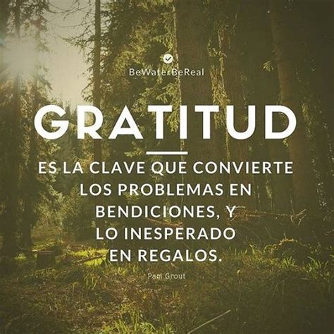 Frases De Agradecimiento Para Dar Las Gracias Y Reflexionar