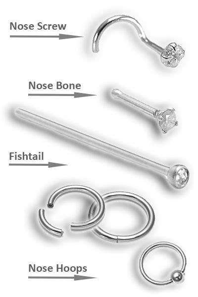 Different Types Of Nose Piercing Ring