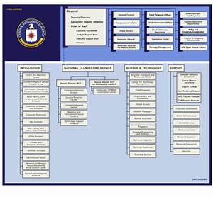 Chart Showing The Organization Of The Central Intelligence Agency