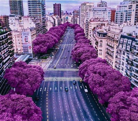 Rige un alerta por vientos fuertes y. Juan Carlos Gimenez on Twitter: "Primavera en Avenida ...