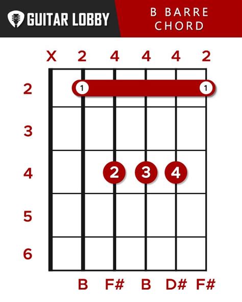B Guitar Chord A Helpful Illustrated Guide My Xxx Hot Girl