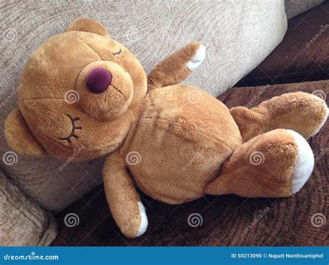 Teddy Bear Stock Photo Image Of Bear Time Sleeping 50213090