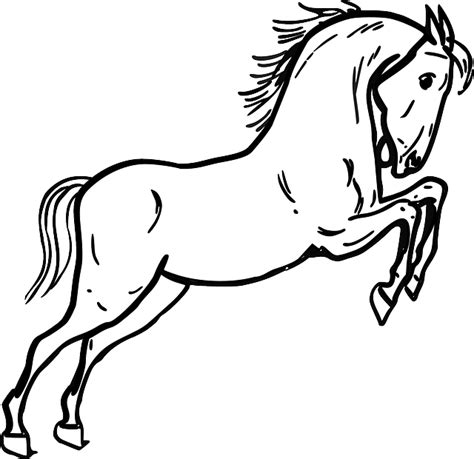 Horse Jumping Standing · Free vector graphic on Pixabay