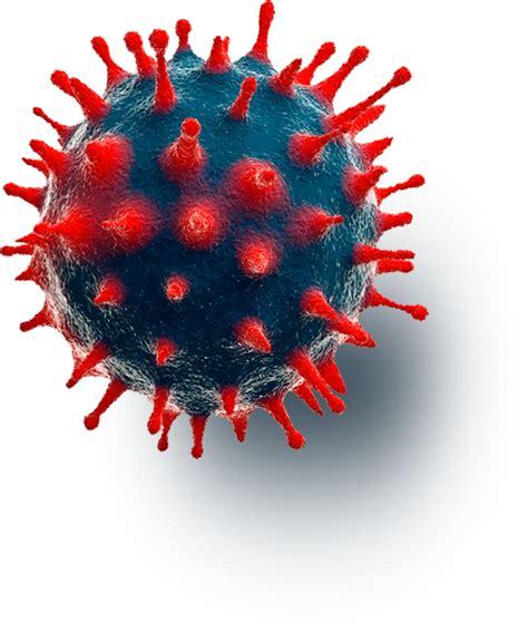 It is very contagious and has quickly spread around the world. COVID-19 - Camboriú