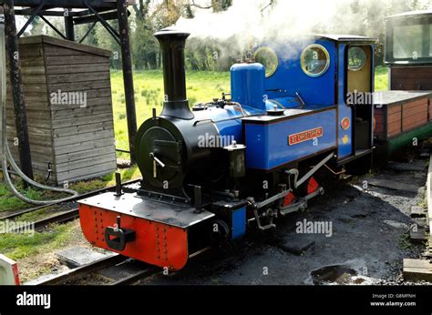Narrow Gauge Steam Locomotive At The Bressingham Steam Museum And