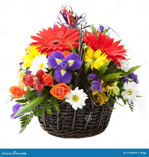 Flower In A Basket Stock Image Image Of Floral Beautiful 37248449