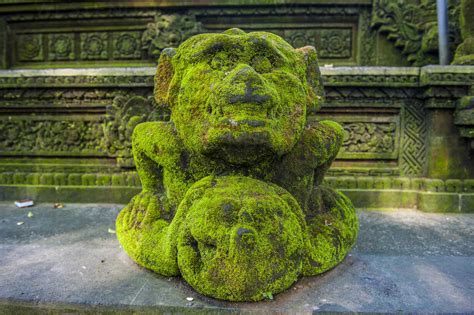 Indonesia Bali Ubud Monkey Forest Overgrown Statue Stock Photo