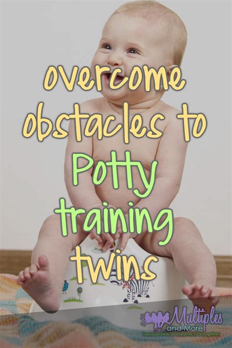 Overcome Obstacles To Potty Training Twins And Triplets Toilet