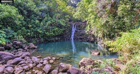 The lord god planted a garden eastward in eden. Hawaiian 'Garden of Eden' Available for $20M | American Luxury