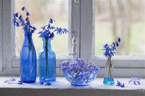 24 Beautiful Indoor Windowsill Flower Garden Ideas