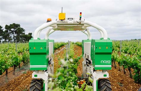 Naïo Ted Agriculture Robot Will Be On Display At Ces 2022 Mobile