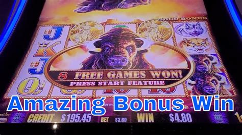 Buffalo Gold Slots Huge Bonus Win Youtube