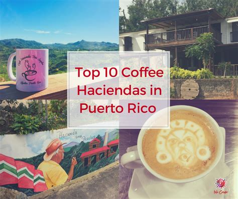 Top 10 Coffee Haciendas In Puerto Rico By Isla Caribe Medium