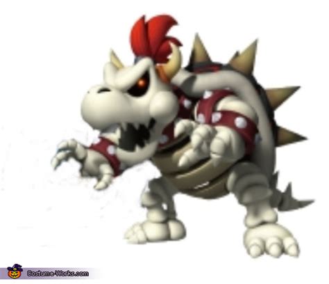 Dry Bowser Costume Photo 99