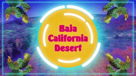 Enter your dates and choose from 962 hotels and other places to stay. Baja California Desert Cactus In Bloom - YouTube