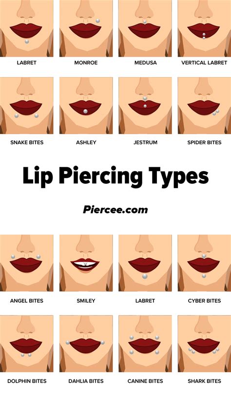 Lip Piercing Guide Types Explained Pain Level Price Photo