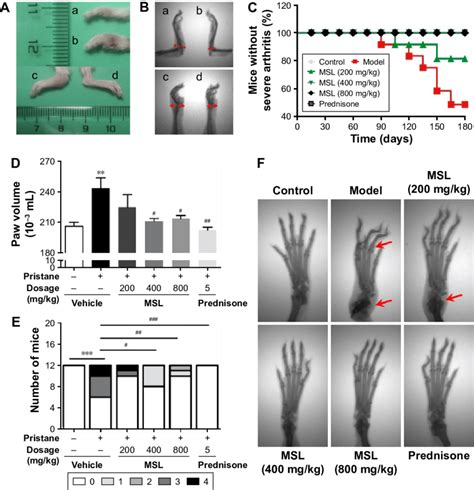 Progression Of Arthritis In Balbc Mice From Each Group Notes A
