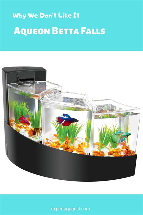 Aqueon Betta Falls Review Why We Dont Like It Betta Betta Fish