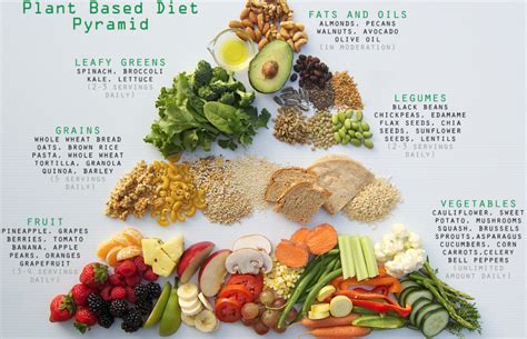 Exploring The Health Benefits Of Plant Based Diets