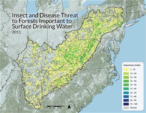 Forest Pathogens Risk To Watersheds Ecosystem Services Conservation