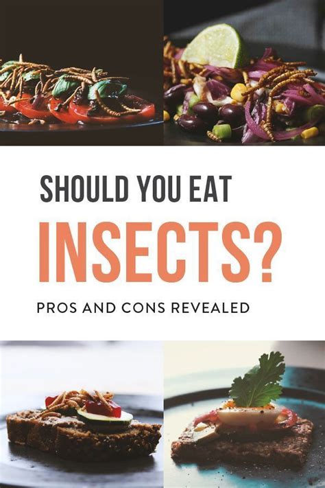 What Are The Most Important Pros And Cons Of Eating ...