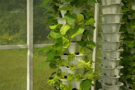 Low Maintenance Indoor Vertical Garden Ideas Tips Techniques And Secrets