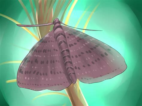 Pick the bags off the arborvitae and burn them. How to Get Rid of Bagworms: 14 Steps (with Pictures) - wikiHow
