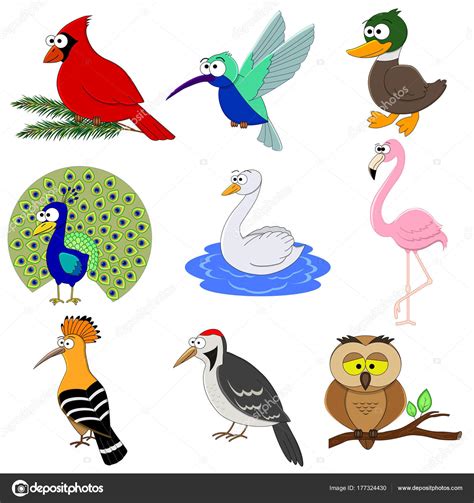 Set Of Cartoon Funny Birds — Vetores De Stock © Budolga 177324430