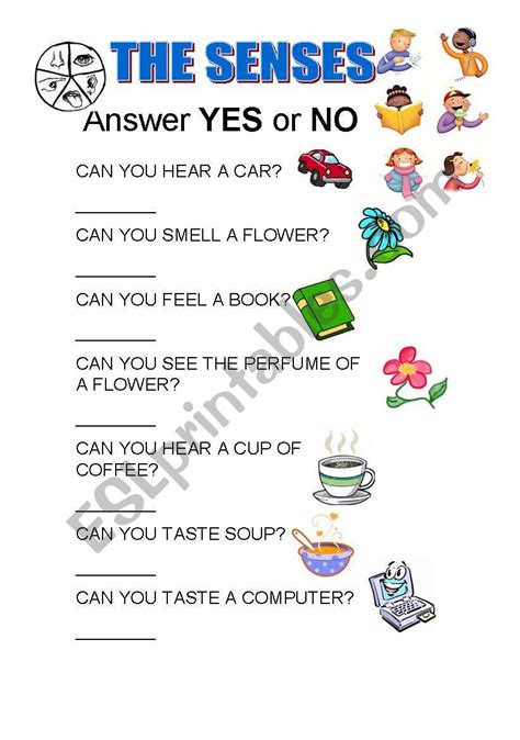 Answer Yes Or No Esl Worksheet By Rocio724
