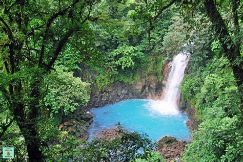 🌍 Guía Para Visitar El VolcÁn Tenorio Y El RÍo Celeste En Costa Rica