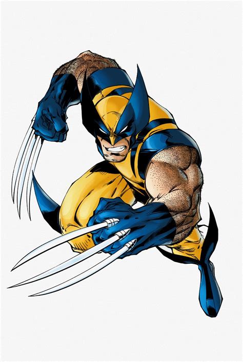 Wolverineincolorsbyshibainubr 750×1119 Pixels Wolverine