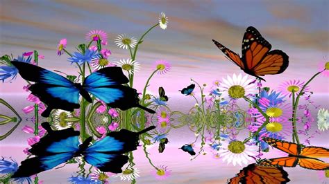 Free Download Fantastic Butterfly Screensaver Creensavertcom