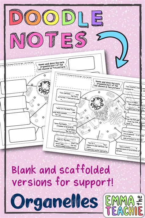 Maybe you would like to learn more about one of these? Cell Organelles Doodle Notes | Doodle notes, Doodles ...