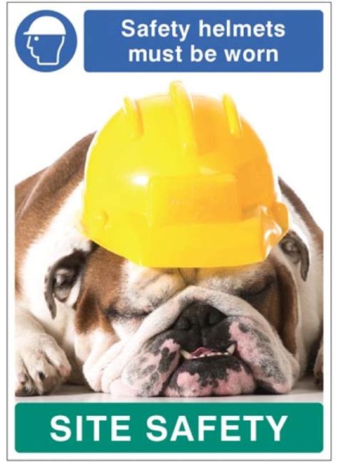 Safety Helmets Must Be Worn Dog Poster