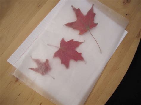 Iron Colored Autumn Leaves Between Two Pieces Of Wax Paper Hang Them