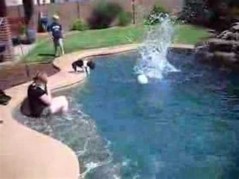 Then we were introduced to this bulldog from nova scotia. French Bulldogs really can swim. - YouTube