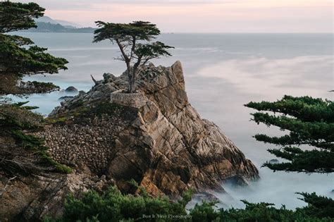 Lone Cypress Monterey Monterey Travel Photography Lone Cypress