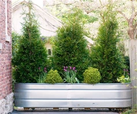 30 Pretty Privacy Fence Planter Boxes Ideas To Try Privacy Plants