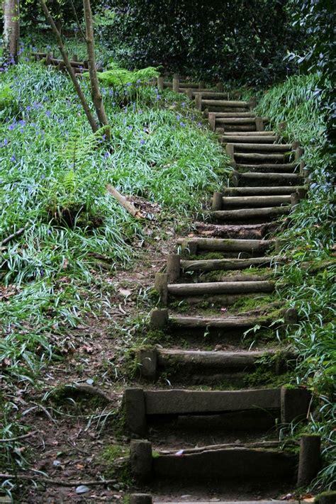 There Are Many Steps That Lead Up The Hill