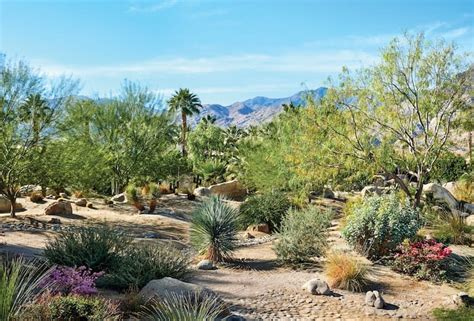 Mark Logan Landscape Brings Desert Look To Palm Springs Home