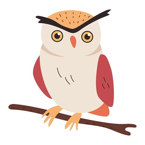 Premium Vector Owl On Branch Tree Vector Cartoon Illustration