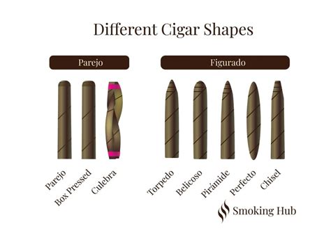 How To Choose And Select A Good Cigar Guide Smoking Hub