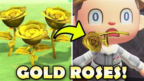 Your hair style and color in animal crossing: 🌹 How To Get GOLD ROSES In Animal Crossing New Horizons ...